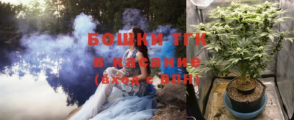 мдпв Кодинск