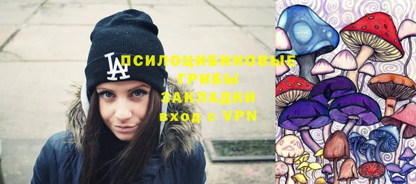 ешки Козловка