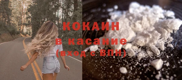 мдпв Кодинск