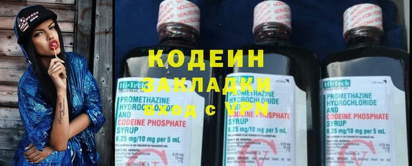 мдпв Кодинск
