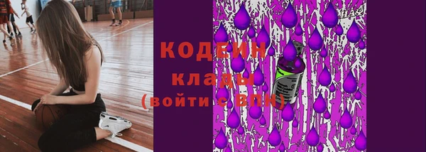 мдпв Кодинск