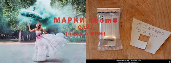 мдпв Кодинск