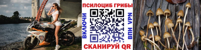 Галлюциногенные грибы ЛСД  кракен ТОР  Рыльск  купить наркотики сайты 